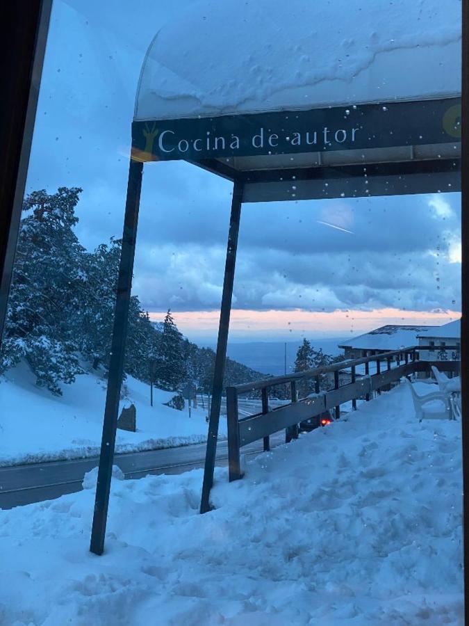 Corzo 4*